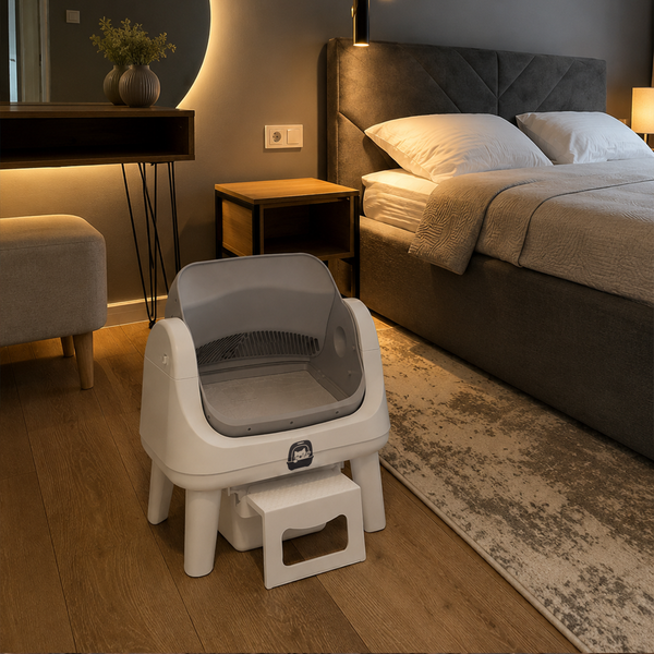 Bed room