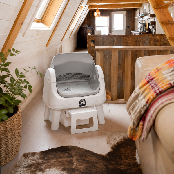 Loft